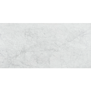 Bianco Venatino Slab - marble (Polished) tile